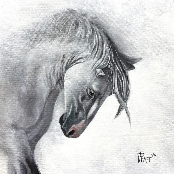 Silent Grace