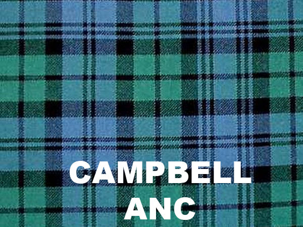 Hybrid Kilt Tartan in Pleat picture