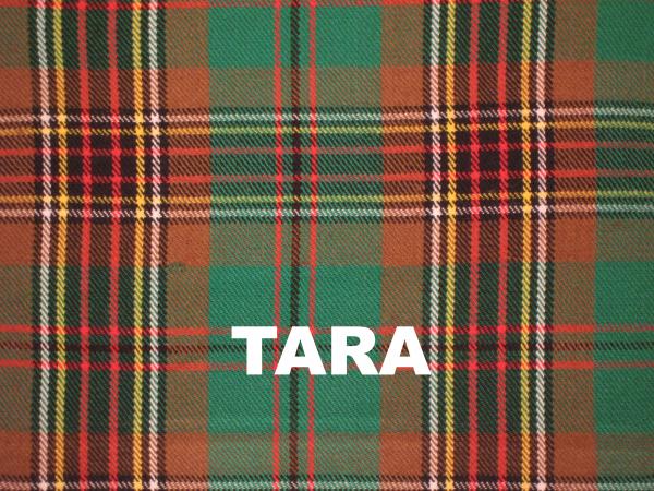 Hybrid Kilt Tartan in Pleat picture