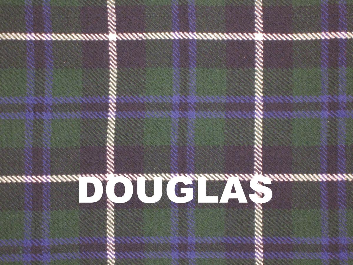 Traditional 2 buckle kilt picture