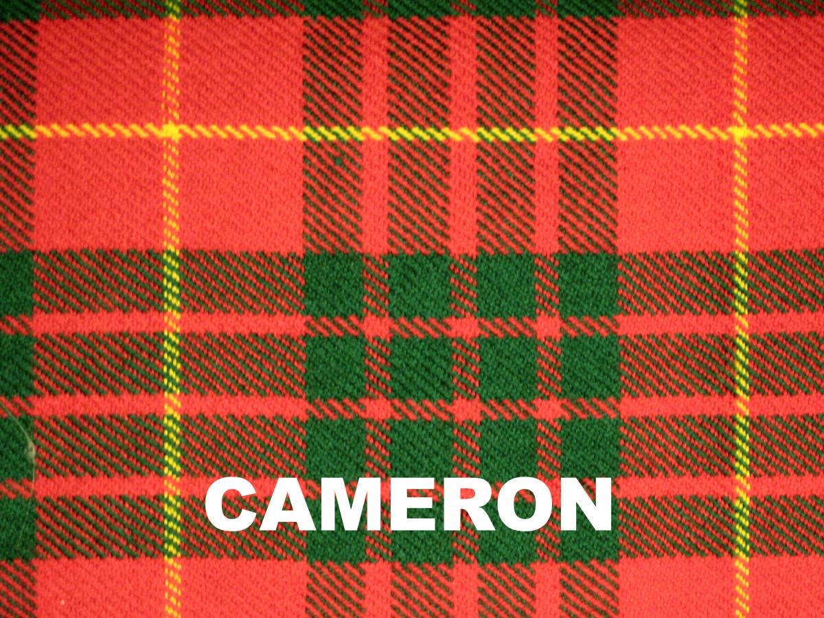 Traditional 2 buckle kilt picture