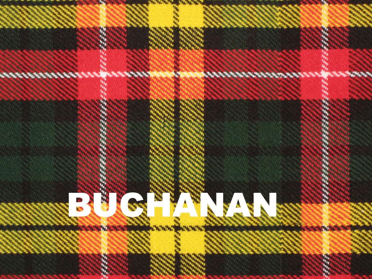 Traditional 2 buckle kilt picture