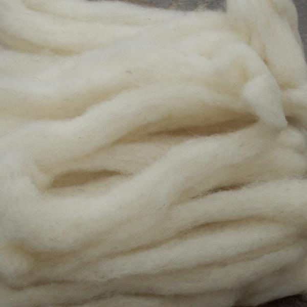 Jacob roving, undyed white SW619