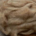Cotswold roving, undyed natural color, SW520