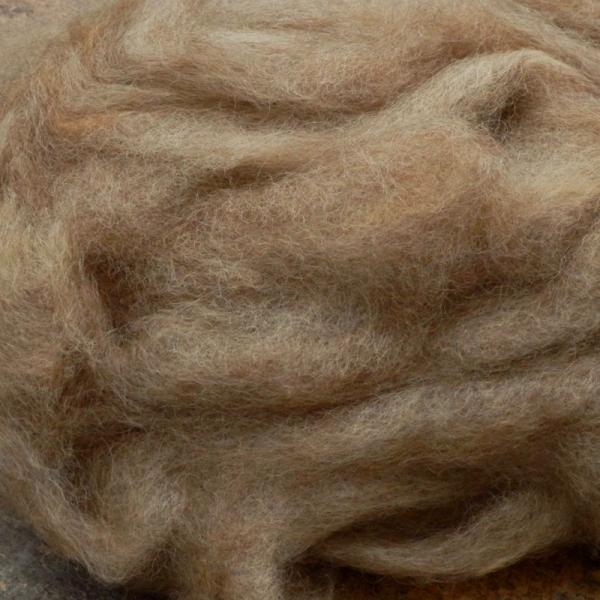 Cotswold roving, undyed natural color, SW520 picture