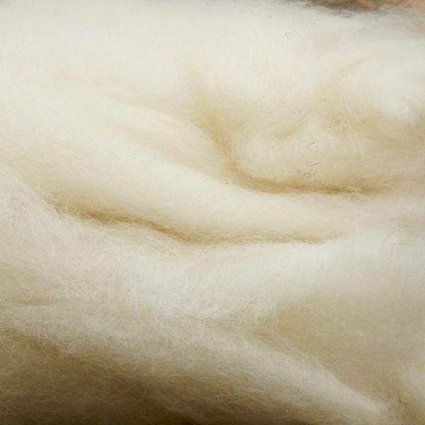 Cotswold roving, undyed white SW420