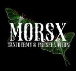 Morsx Art