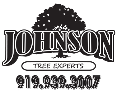 Johnson Tree Experts