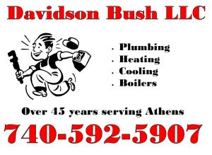 Davidson Bush LLC