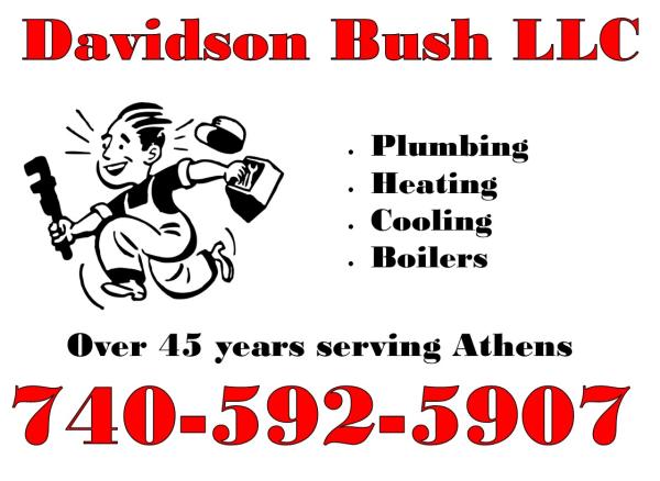 Davidson Bush LLC