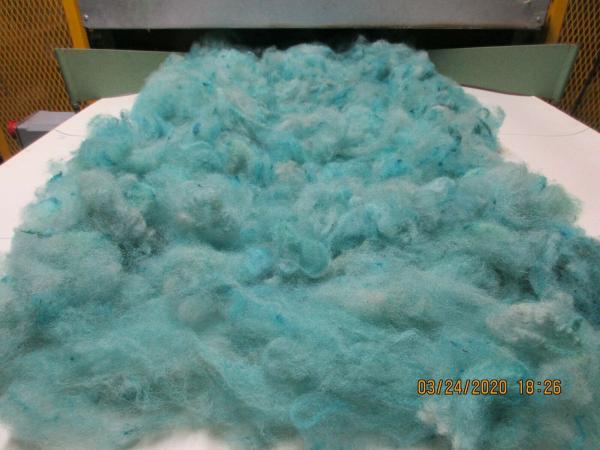Light Turquoise Washed Texel Wool Roving - Free Shipping picture