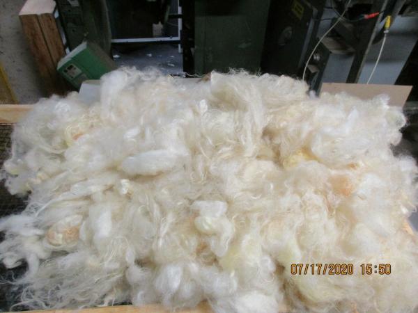 White Coopworth Wool Roving with long staple - Free Shipping picture