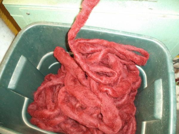 Dyed Dark Red Huacaya Alpaca from Samson and Tim picture