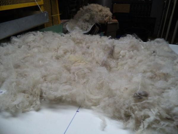 White with Black fiber thru out Shetland Wool Roving 4 oz bags picture