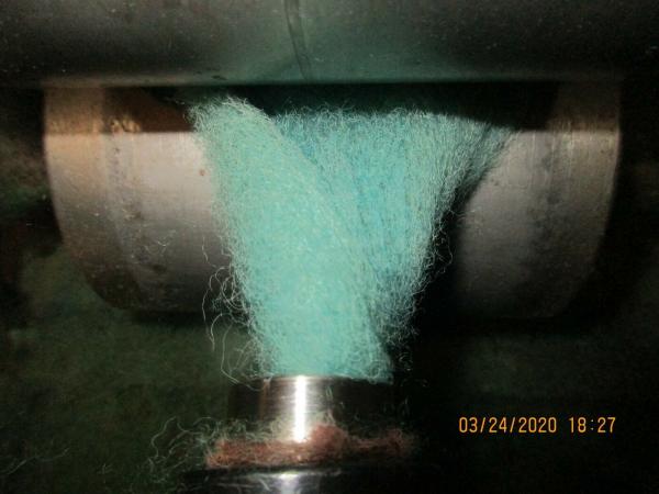 Light Turquoise Washed Texel Wool Roving - Free Shipping picture