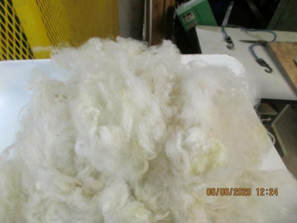 White Washed Corriedale Wool Roving 4 oz bags picture