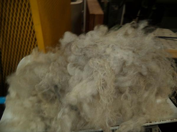 White with Black fiber thru out Shetland Wool Roving 4 oz bags picture