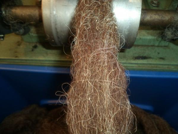 Dark Brown with White fiber Washed American Karakul Wool Roving 4 oz picture