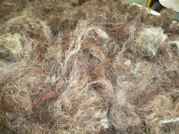 Dark Brown with White fiber Washed American Karakul Wool Roving 4 oz picture