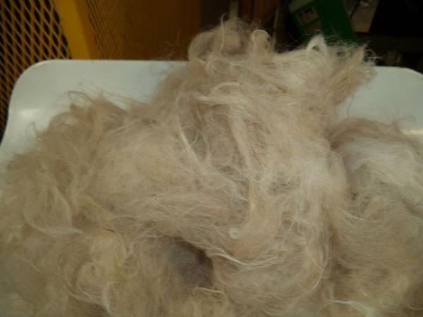 Brown and some White Washed Shetland Roving 4 oz each picture