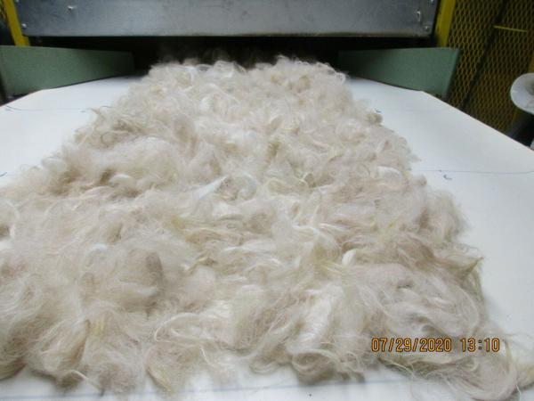 White Border Leicester Wool Roving - Free Shipping picture