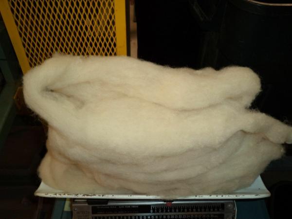 White Washed Texel Wool Roving picture