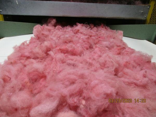 Very light Burgundy Washed Texel Wool Roving picture