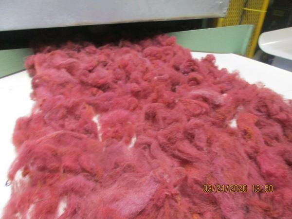 Scarlet Washed Texel Wool Roving - Free Shipping picture