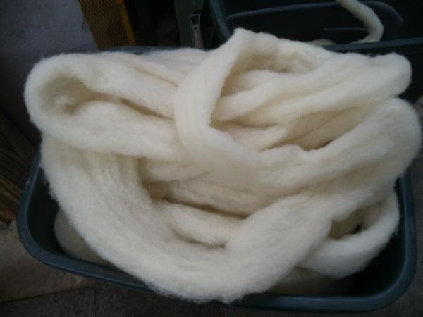 White Washed Texel Wool Roving picture