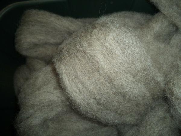 medium gray washed Romney Wool Roving Fleece picture