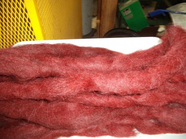 Dyed Dark Red Huacaya Alpaca from Samson and Tim picture