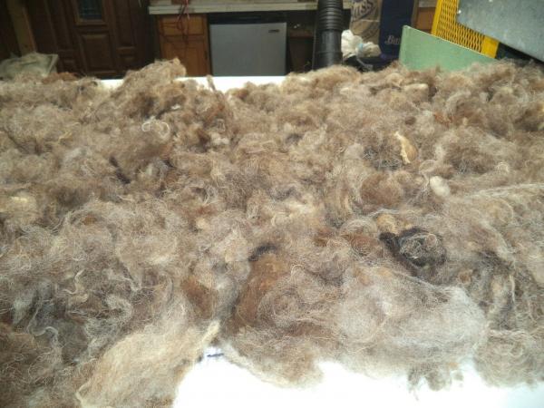 Rich Medium Brown Shetland Roving 4 oz each picture