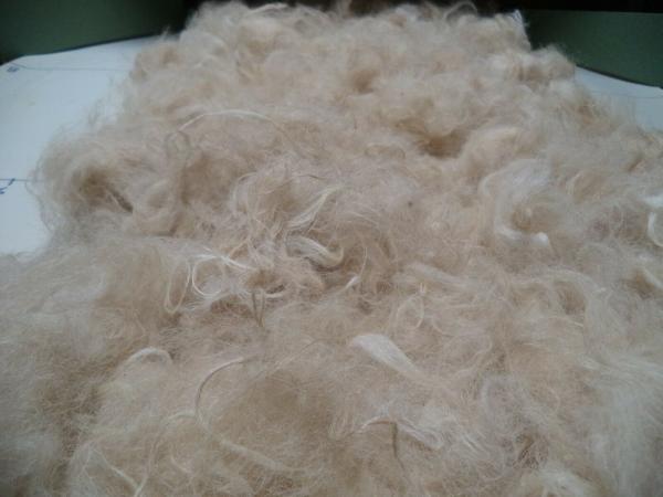 Alpaca Roving White from Huacaya Alpaca - Sarah Free Shipping picture