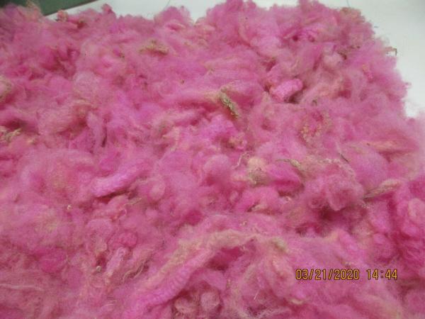 Pink Texel Wool Roving - Free Shipping picture