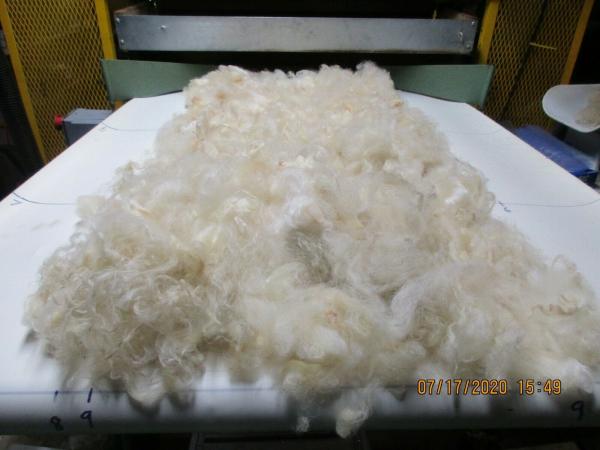 White Coopworth Wool Roving with long staple - Free Shipping picture