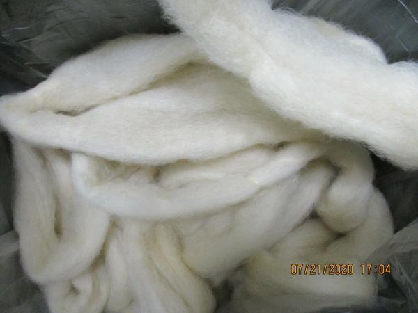 Processing of Wool through Roving picture