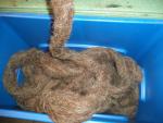 Dark Brown with White fiber Washed American Karakul Wool Roving 4 oz