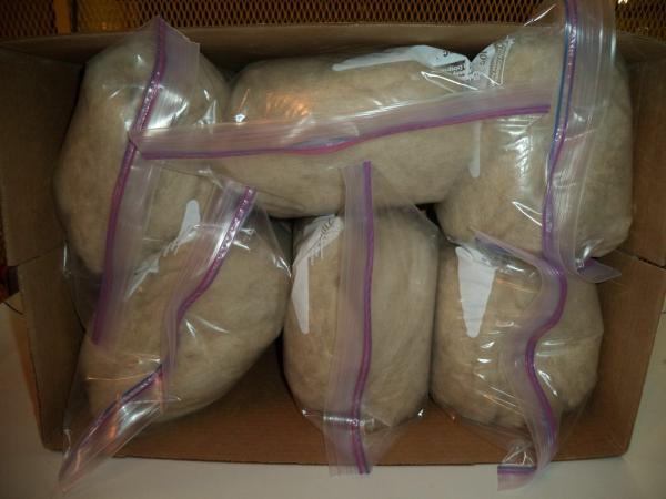 White Washed Texel Wool Roving picture