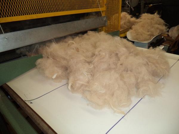 Alpaca Roving Beige/White from Huacaya Alpaca - Glory Free Shipping picture