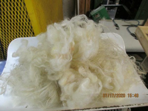 White Coopworth Wool Roving with long staple - Free Shipping picture