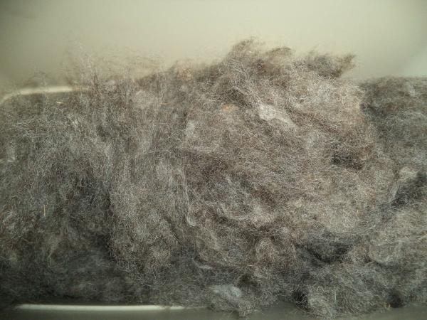 4 oz bags medium gray washed Romney Wool Roving picture