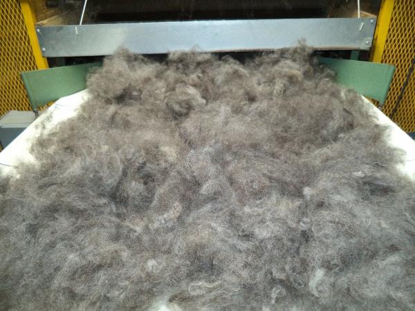 4 oz bags medium gray washed Romney Wool Roving picture