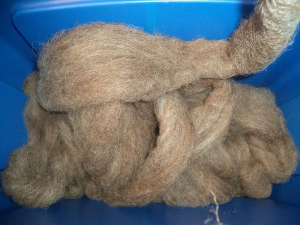 Rich Medium Brown Shetland Roving 4 oz each picture