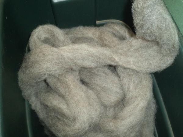 medium gray washed Romney Wool Roving Fleece picture