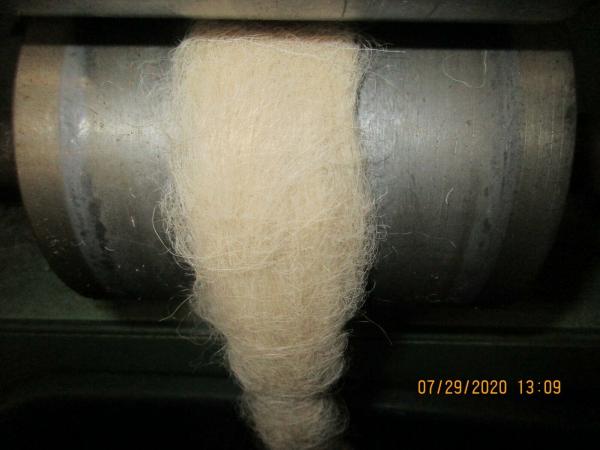Processing of Wool through Roving picture