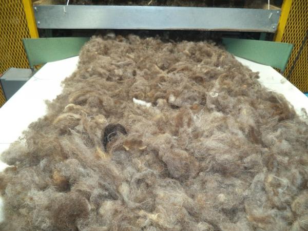 Rich Medium Brown Shetland Roving 4 oz each picture