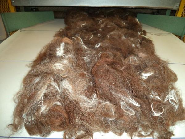 Alpaca Roving 4 OZ, Brown with mingle White from Huacaya Alpaca Hershey Kiss picture