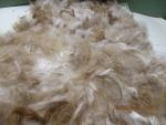 Alpaca Roving Light Tan from Huacaya Alpaca - Joy Free Shipping