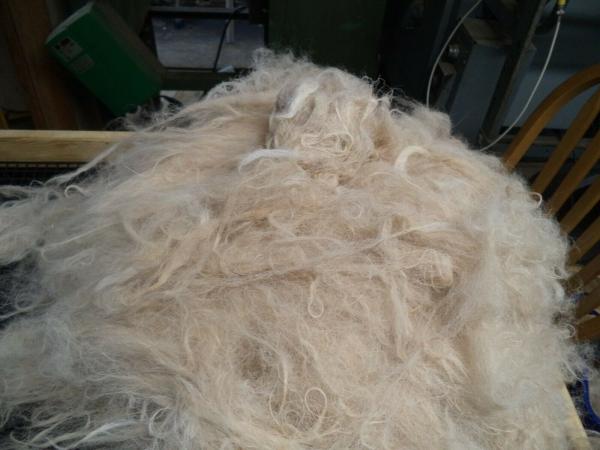 Alpaca Roving White from Huacaya Alpaca - Sarah Free Shipping picture