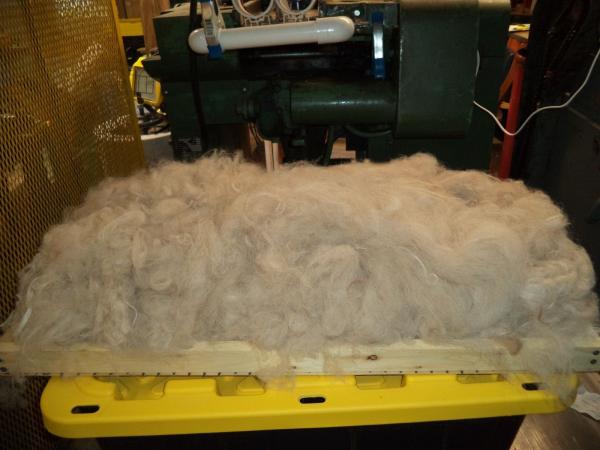 Alpaca Roving Beige/White from Huacaya Alpaca - Glory Free Shipping picture